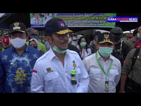 Masa Depan Pertanian Pulang Pisau di tangan Jokowi