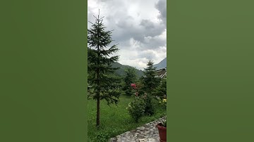 وضرب الله مثلاً - القرآن الكريم ❤️