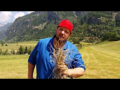 Helene Fischer "Atemlos" PARODIE Cover (Petutschnig Hons)