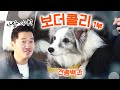 보더 콜리 1부｜강형욱의 견종백과 X 페퍼TV(보더로운생활)