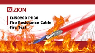 EN50200 PH30 Fire Resistance Cable fire test