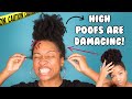 HIGH POOF | 5 Dangers of the Cute But Deadly Bunny Tail 🐰