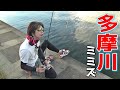 ミミズを使って、多摩川で深夜まで巨大魚狙って釣りしてみた【完全版】