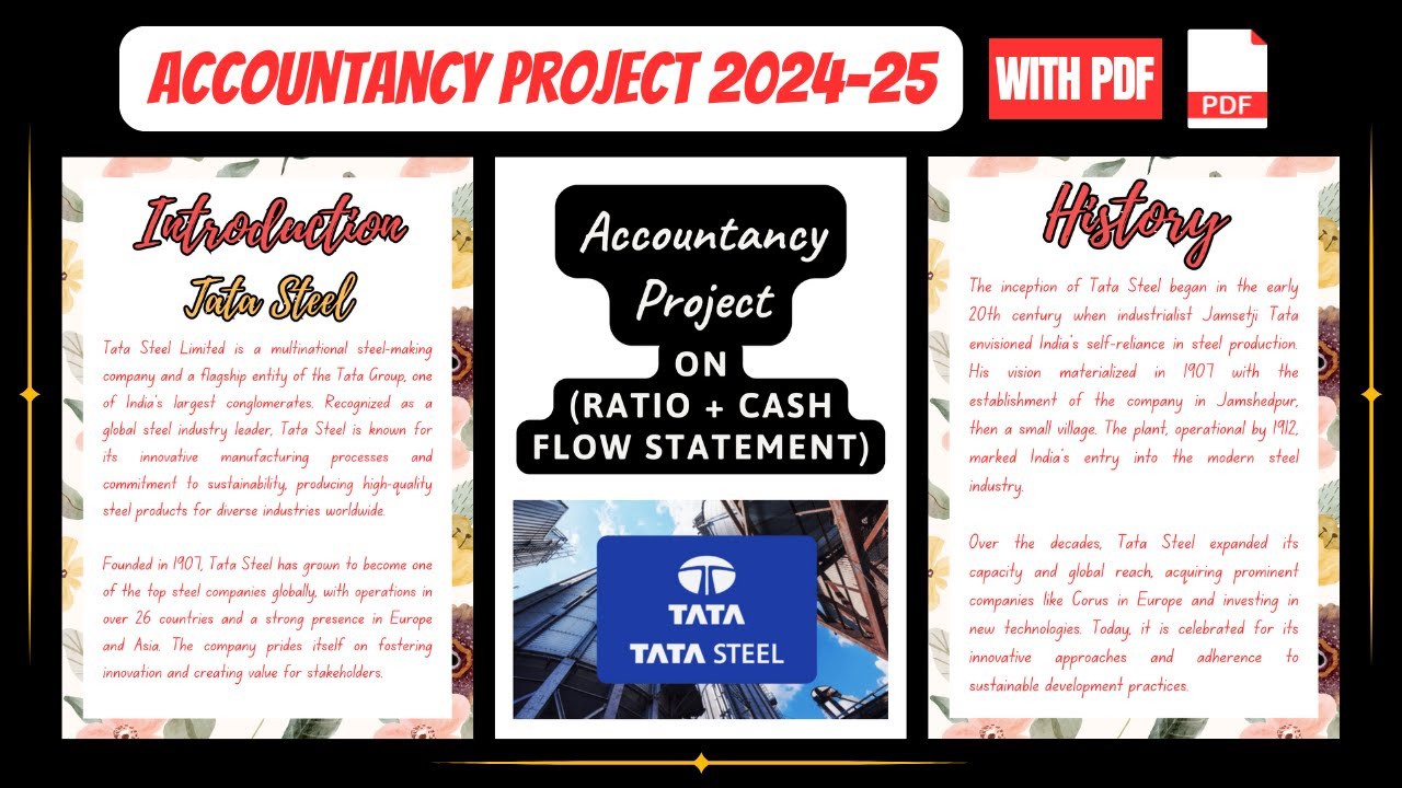 Accountancy Project Class 12th 2024-25 | Project On Tata Steel  (Ratio + Cash Flow Statement)