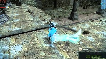 Paladin Transformation LvL2 Fiona