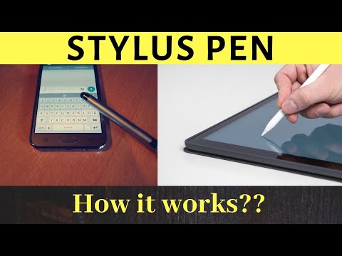 Video: Hvad er definitionen af stylus?