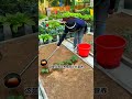 What to do if seedlings grow slowly #HumicAcidFertilizer