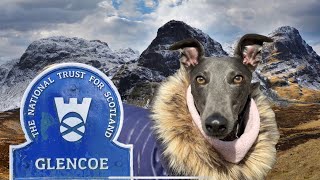 GREYHOUND visits pub, forest and camps by river at GLENCOE…Part 6 Scottish adventure