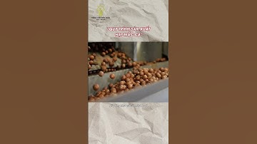 Hạt mắc ca được sản xuất thế nào #tomtatnhanh #reviewnhanh #quytrinhsanxuat #khampha #kienthuc #food
