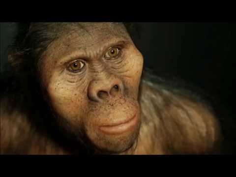 Vídeo: Homo Sapiens: ¿el Resultado De La Evolución O Un Habitante Del Zoológico Espacial? - Vista Alternativa