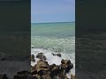 Wild Ocean Waves Crashing on Rocky Beach 🌊