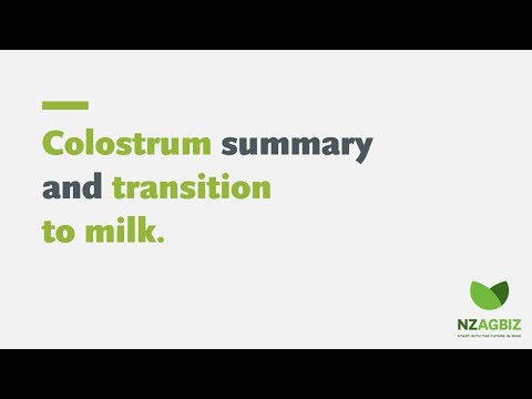 Video: Transitional milk zoo li cas?