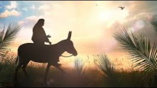 Comparing the Synoptic Gospels - Did Jesus Ride on 2 Donkeys