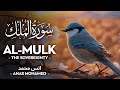 Surah al mulk       anas mohammad  quran recitation 4k