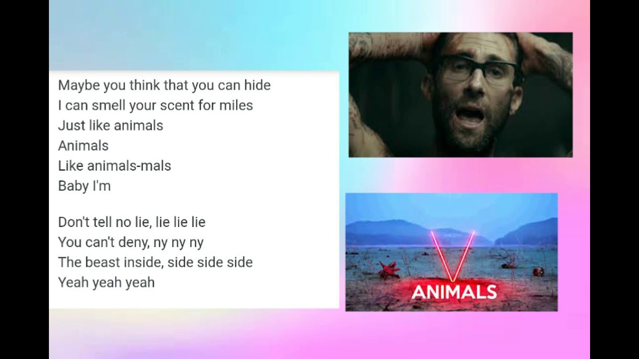 MAROON 5 ANIMALS LYRICS GOLDEN LYRICS YouTube