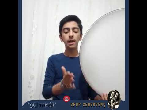 Gül Misâli