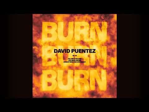 David Puentez - Burn