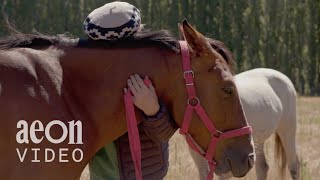 What horses teach us about power and communication | Herd of Two