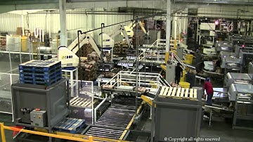 Fuji Robotics Bag Palletizing