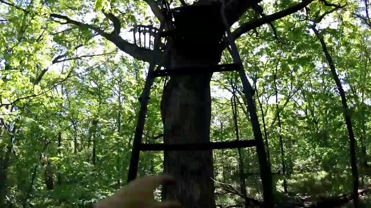 Deer stand YouTube