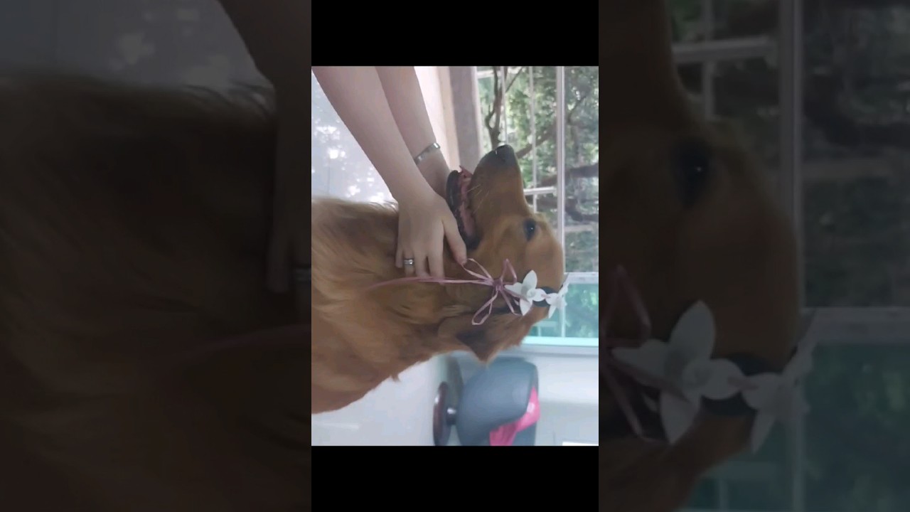 Cute Hairband DIY 💖🌸 #shorts #cosplay #rezero