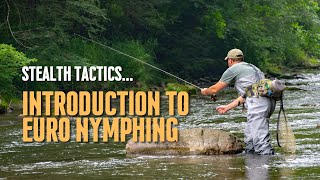 Dark Skies Fly Fishing: Getting Started with Euro Nymphing