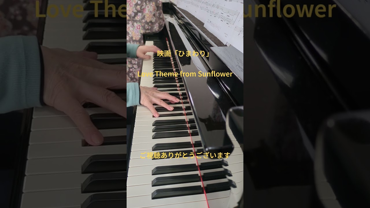 ひまわり#1970年 ‧ 戦争/映画#ソフィア・ローレン#Love Theme from Sunflower#ヘンリー・マンシーニ#Henry Mancini