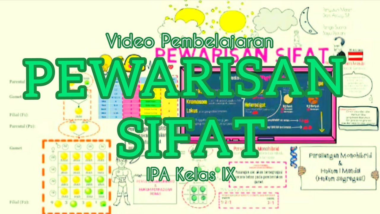 PEWARISAN SIFAT Video Pembelajaran IPA kelas IX  YouTube