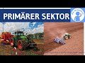 Primärer Sektor / Landwirtschaft / Agrarwirtschaft - Wirtschaftssektoren 1 - Funktionen &amp; Struktur