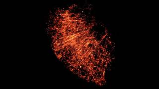 Polyphorm: Structural Analysis of Cosmological Datasets via Interactive Physarum Polycephalum Visua