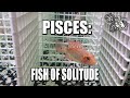 Pisces fish of solitude   mystery school 236