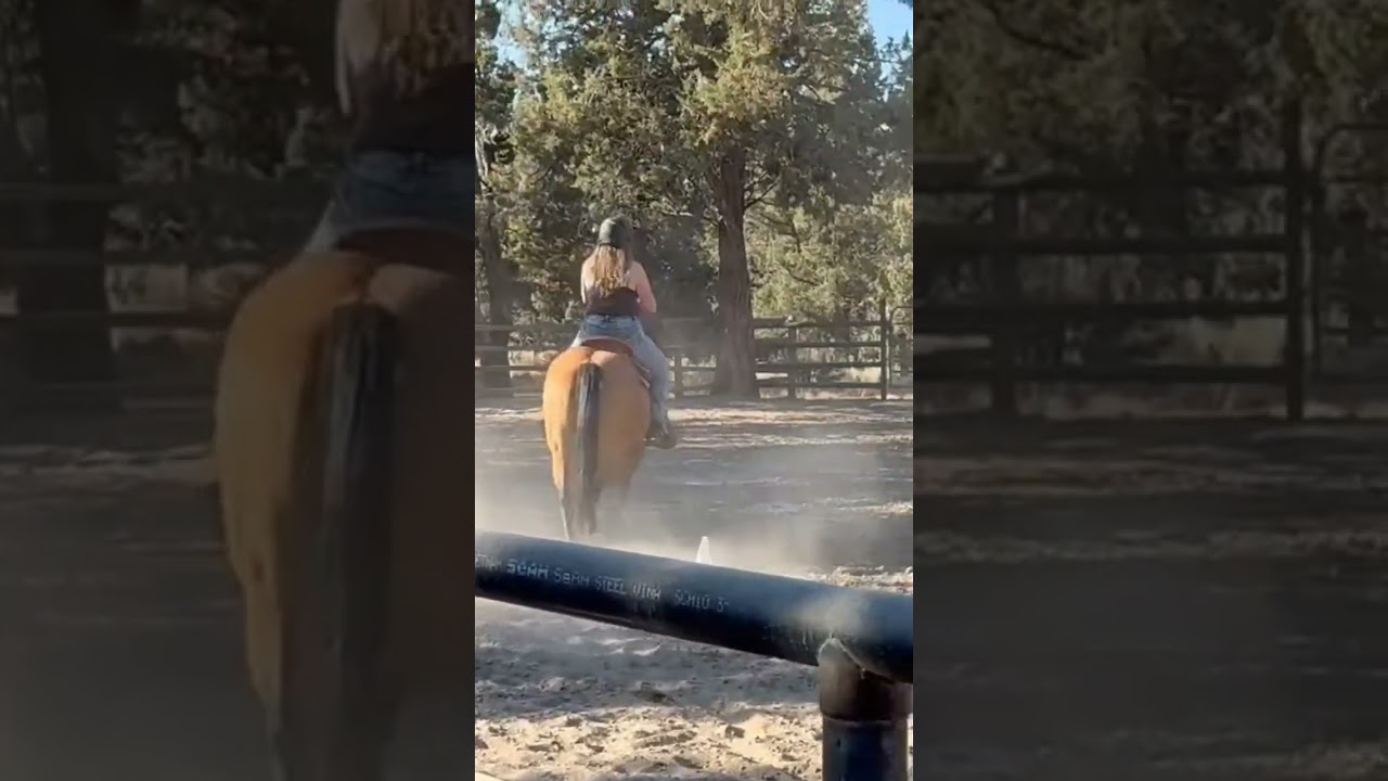 show prep for this weekend 😁 