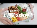 【１週間のお弁当】安くて美味しい！豚こまの人気おかずレシピ５選vol.3