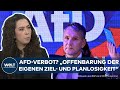 AFD: "Irrsinn, jemandem die Grundrechte zu entziehen" – Verbot und Höcke-Pedition würden AFD nutzen