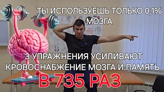 видео: ПАМЯТЬ И КРОВОСНАБЖЕНИЕ МОЗГА увеличивается в 725 раз если эти 3 упражнения сделал картинка: ПАМЯТЬ И КРОВОСНАБЖЕНИЕ МОЗГА увеличивается в 725 раз если эти 3 упражнения сделал
