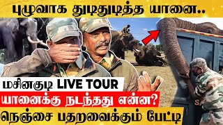 காட்டு யானைகளை கையாள்வது எப்படி? திக் திக் அனுபவங்கள் பகிரும் வனக்காவலர் பேட்டி