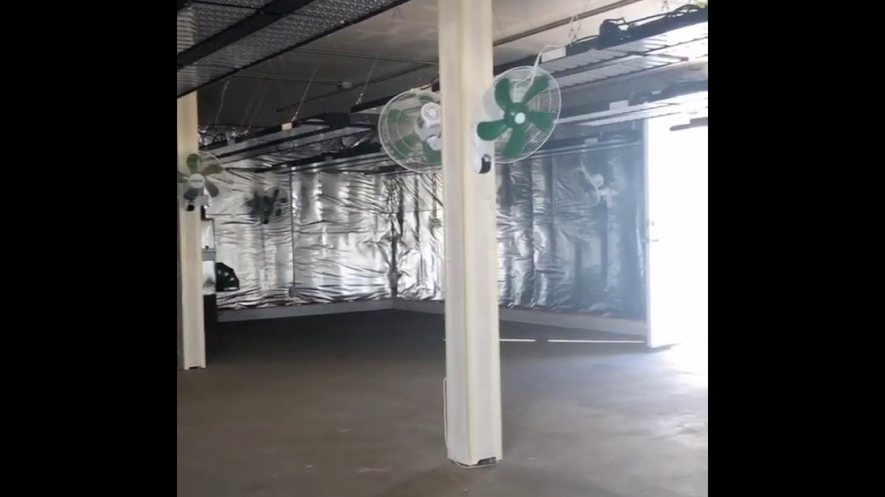 VividGro® LED Grow Lights - New Grow Room Setup - VividGro V2 Grow Lights