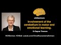 #CNStalk: Involvement of the cerebellum in motor and emotional learning - Dagmar Timmann
