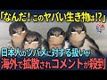 【海外の反応】「なんだ！このヤバい生き物は!?」日本人のツバメに対する扱いが海外で拡散されコメントが殺到