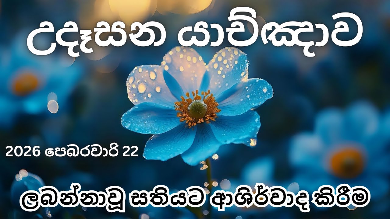 🔴 උදෑසන යාච්ඤාව 🔥 | යාච්ඤාව | trending | Udasana yachnawa | Yachnawa | Geethika | morning prayer 🙏 