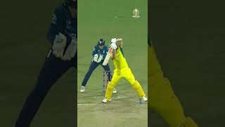 Diving grabs and sensational catches from Indore make our @emirates Fly Better moments ✈
