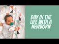 A Day In The Life With a Newborn (2 Weeks Old) | First Time Mom