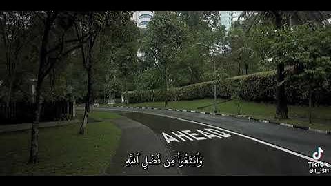 تلاوة القرآن الكريم اقل من دقيقة تهديك راحه وطمأنينه 🙂‍↔️#اكسبلور #المصحف#لايك #الرحمن #تيك_توك 