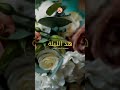 Ensemble Imam Rifai Had Lila هذ الليلة مجموعة الإمام الرفاعي المغربية Reels Shorts Music 