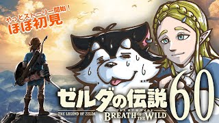 【はじめてのゼルダの伝説】＃60　ごめん、城にはまだ、いけません______....【BotW】