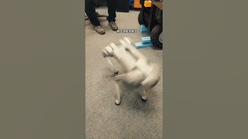 MY HUSBAND FOUND WHAT!?😱😱 #shorts #trending #robot #robotics