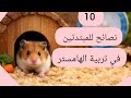 عشرة نصائح للمبتدئين في تربية الهامستر 