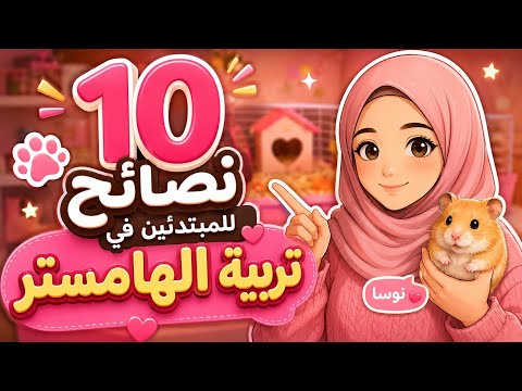 عشرة نصائح للمبتدئين في تربية الهامستر