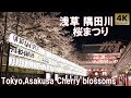 浅草 隅田川 夜桜 隅田公園桜まつり 墨堤さくらまつり ソメイヨシノ 浅草寺 開花状況 Tokyo,Asakusa Sakura Cherry blossoms 2025 Sensoji Temple