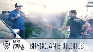 Brewing Beer🍺 in Reykjavik, Iceland With Bryggjan Brugghús (Teaser)